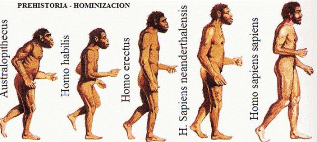 Human-Evolution Ensaio Sobre a Amizade